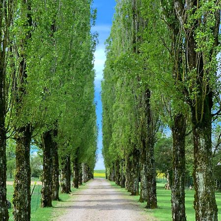 Chevigny L'Allee Des Peupliers住宿加早餐旅馆 外观 照片