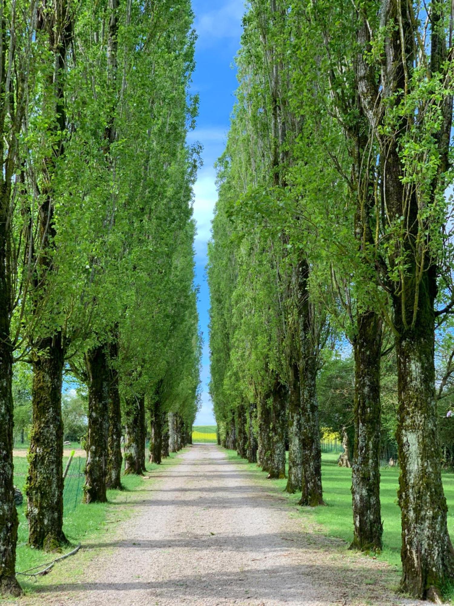 Chevigny L'Allee Des Peupliers住宿加早餐旅馆 外观 照片